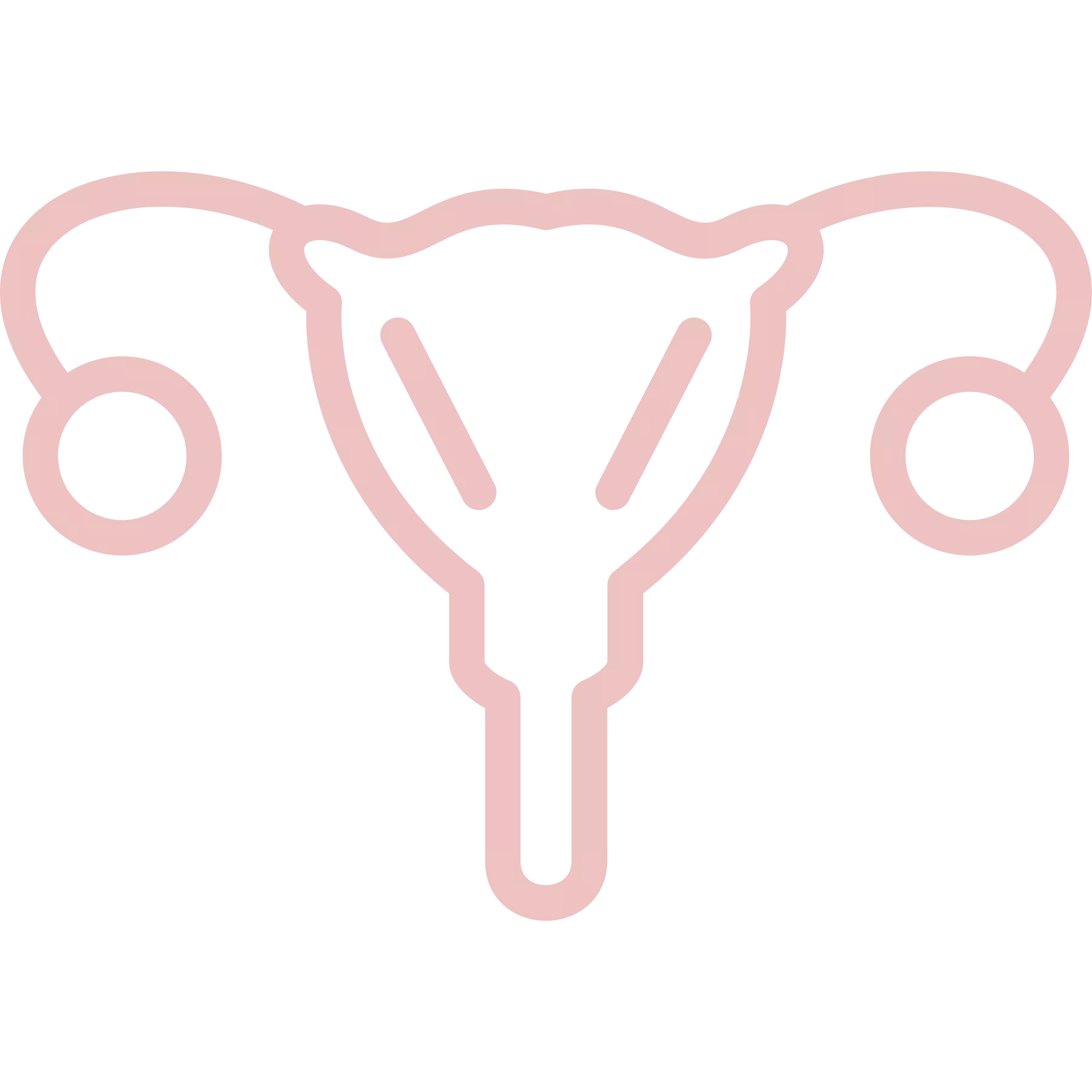 新竹竹北 台中北屯 涵恩婦產科診所 子宮與卵巢