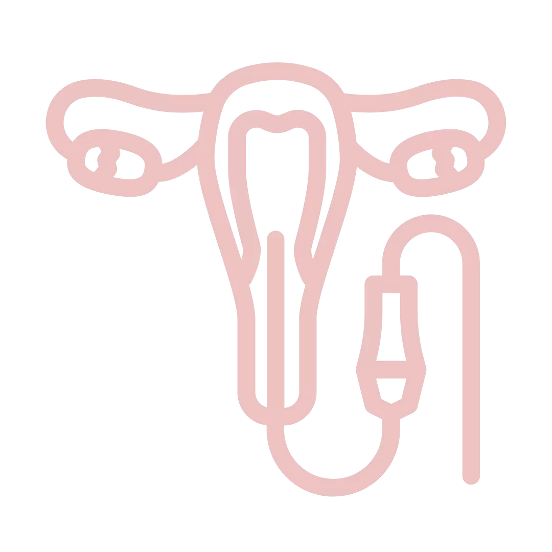 涵恩婦產科診所 診療項目 子宮鏡微創手術